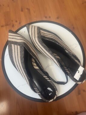 Zara Pointed Slingback Flats in Black and Beige Stripes